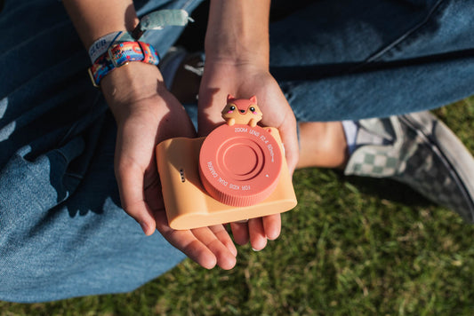 Urban Zoo Camera Fox