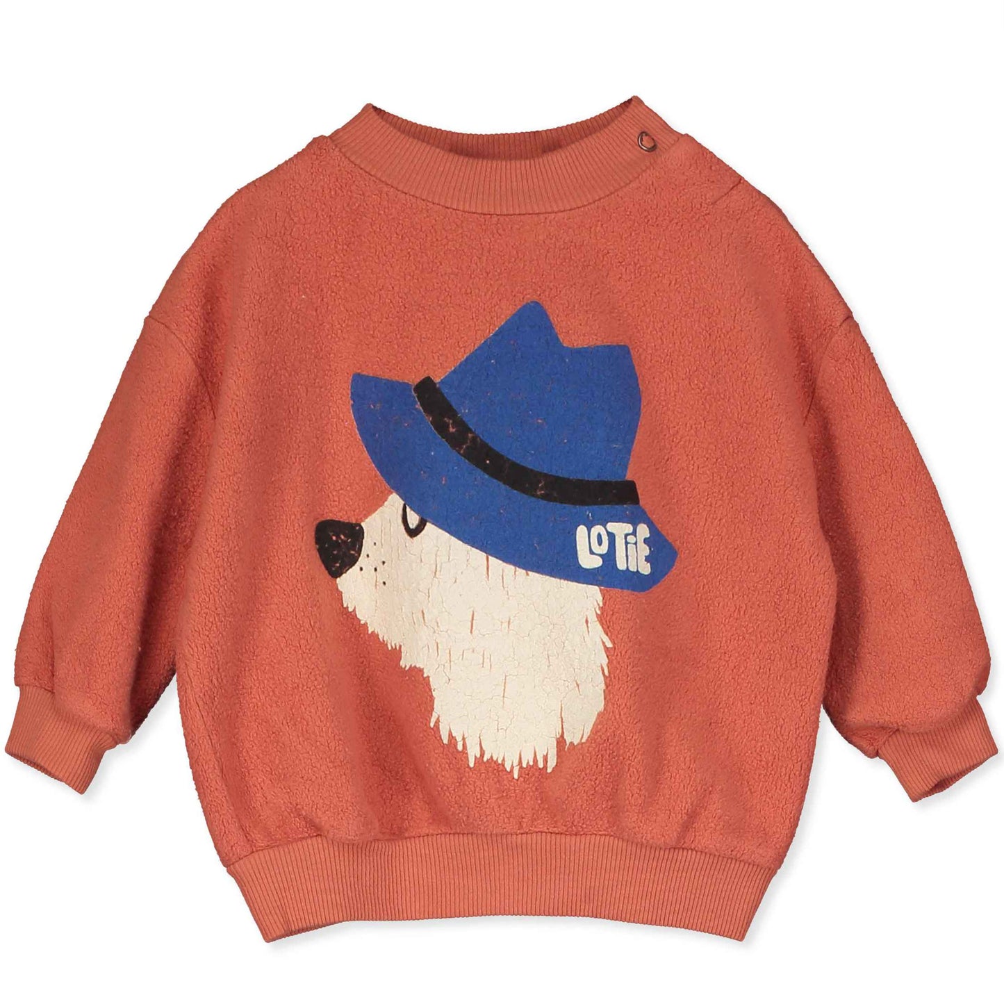 Sweater Teddy Chill Dog Clay
