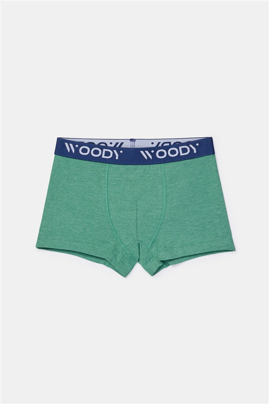 Duopack Jongens Boxer Groen+Streep