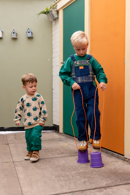 Sweater Paul Alpine Green