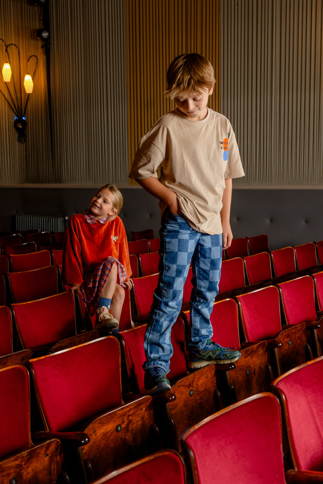 Broek Denim Straight Check