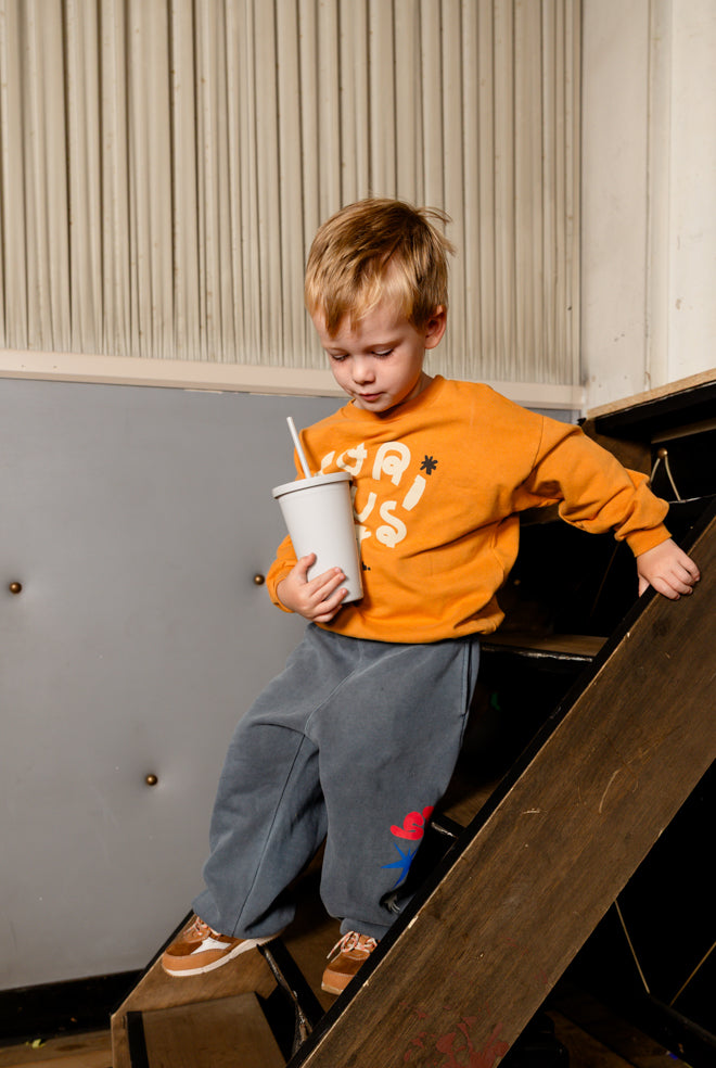 Broek Aladdin Stars