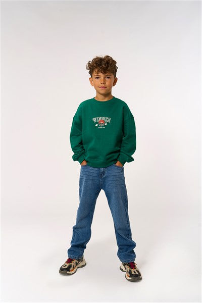 Sweater Paul Alpine Green