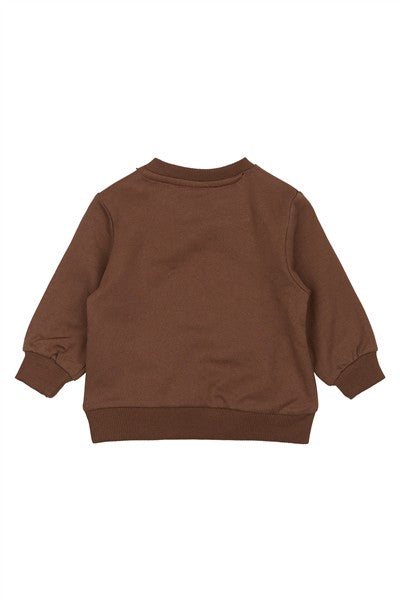 Sweater Perseus Pinecone