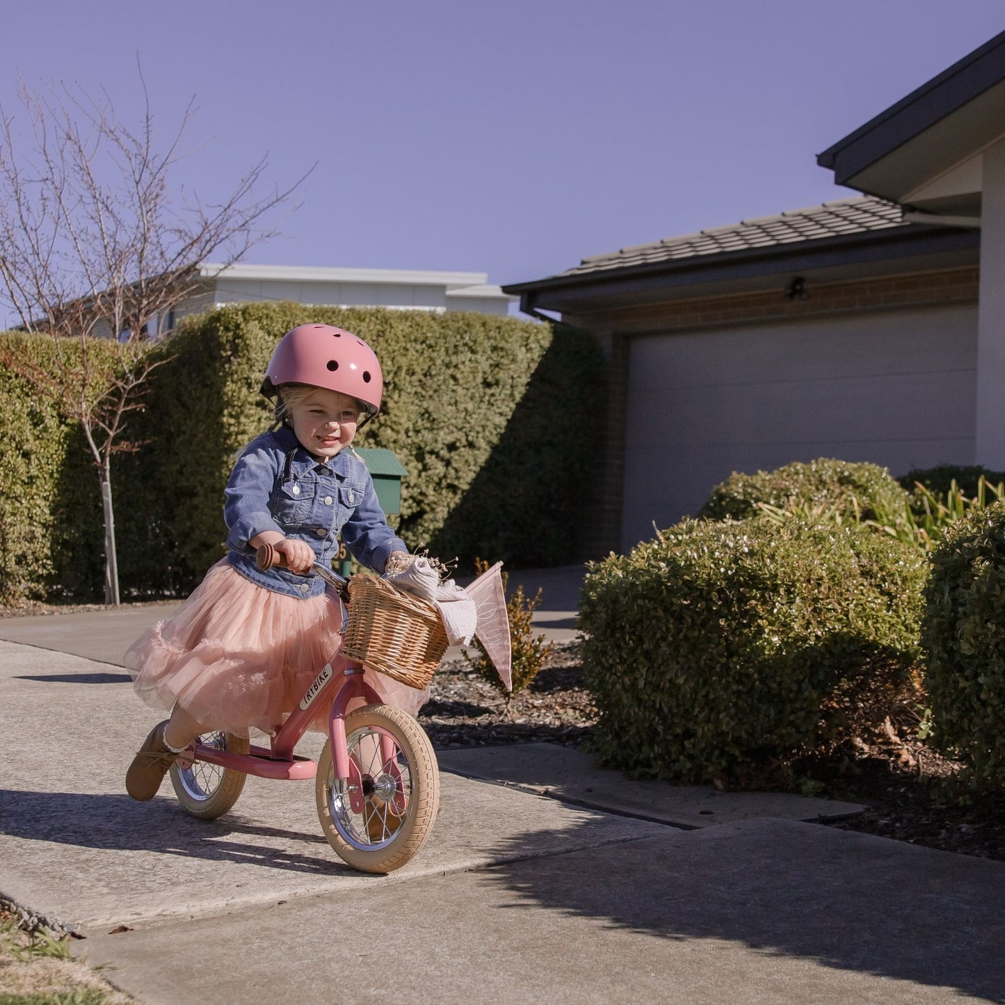 Steel Bike Vintage Pink