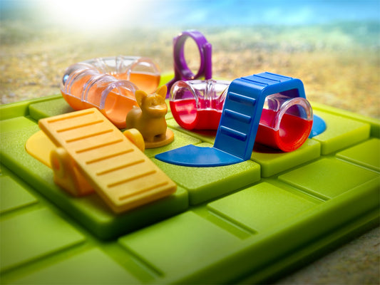 Smart dog obstacle run