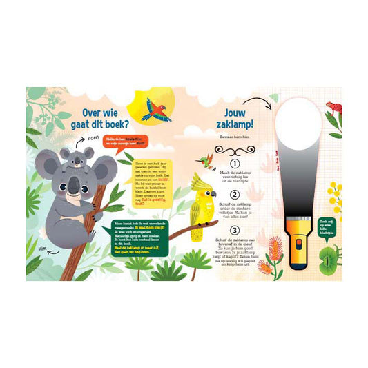 zaklamp speuren naar koala's