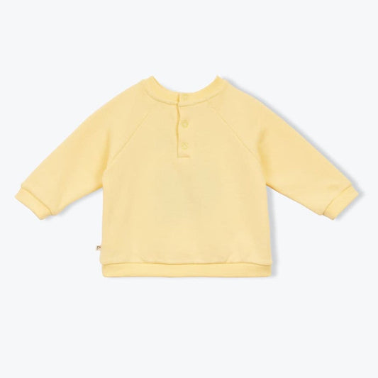 Sweater Coconut Yellow