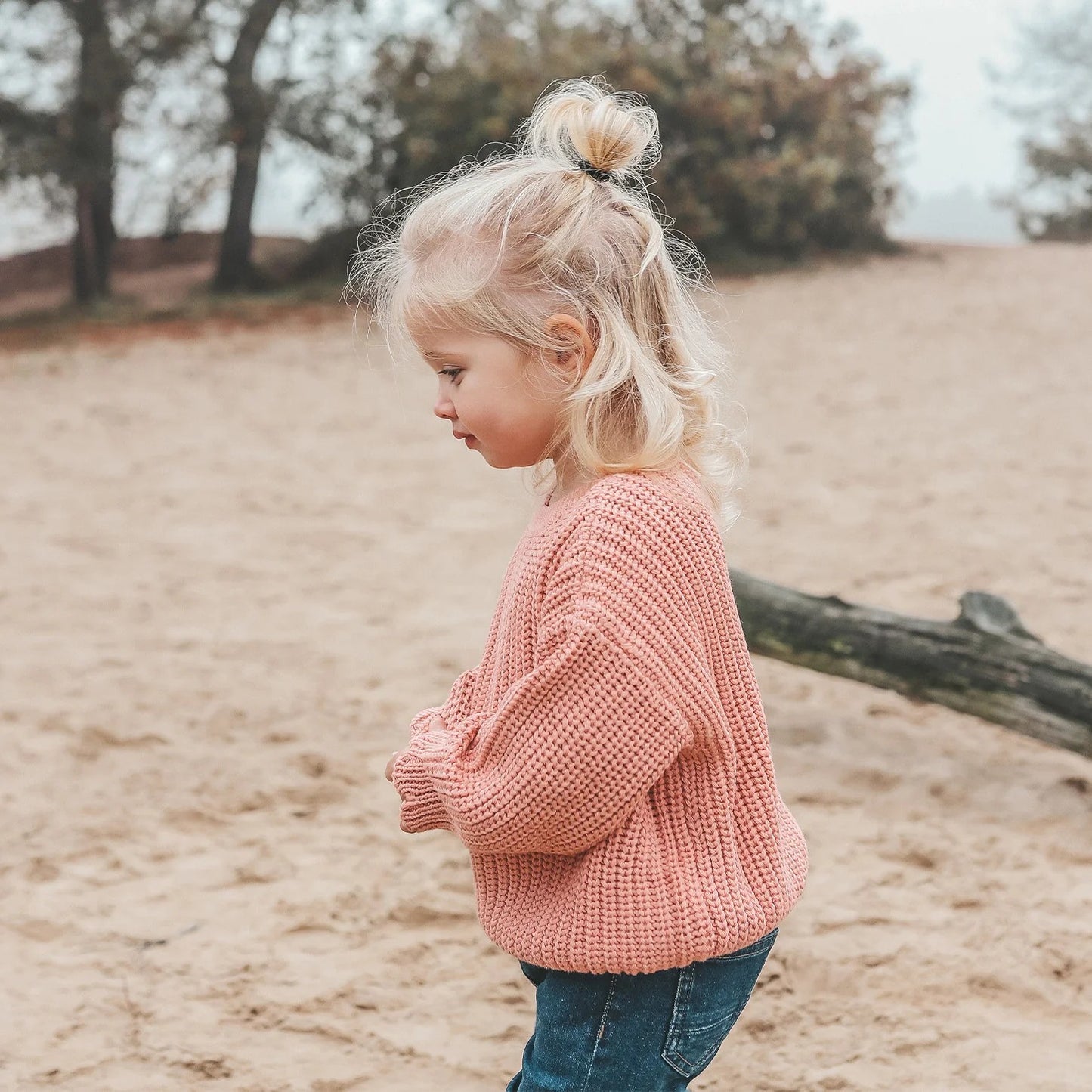 Pullover Chunky Scallop Rose Dawn