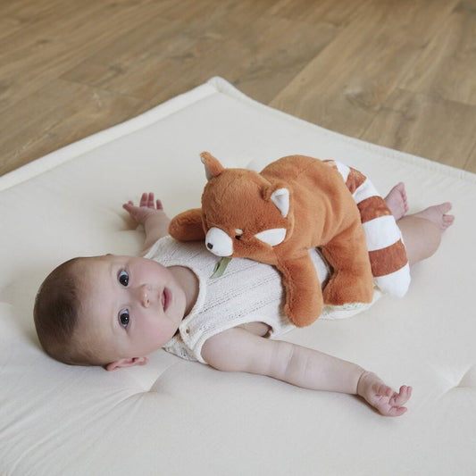 Knuffel van 28 cm met gewicht