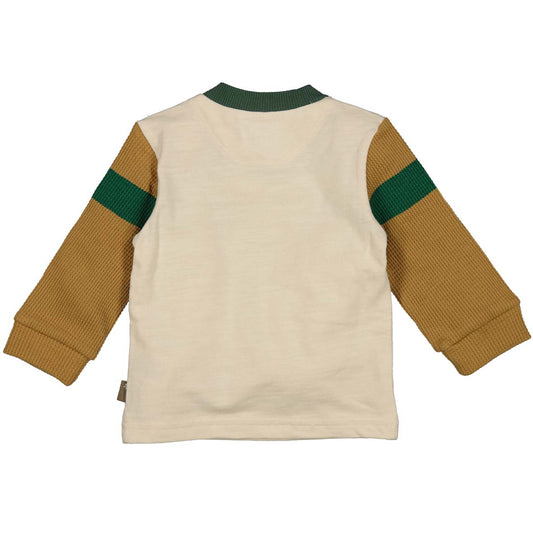 Shirt colorblock
