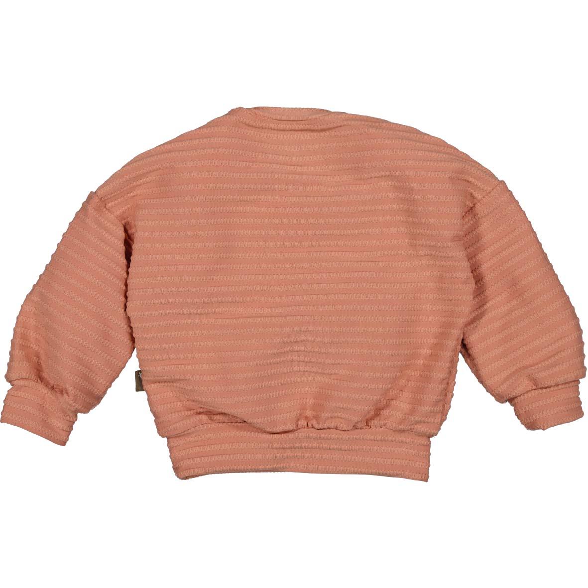 Sweater cable goose