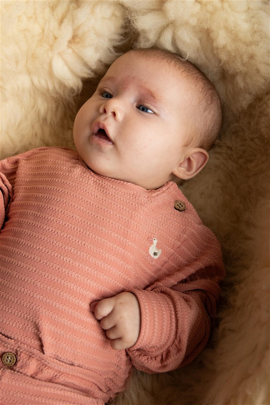 Sweater cable goose