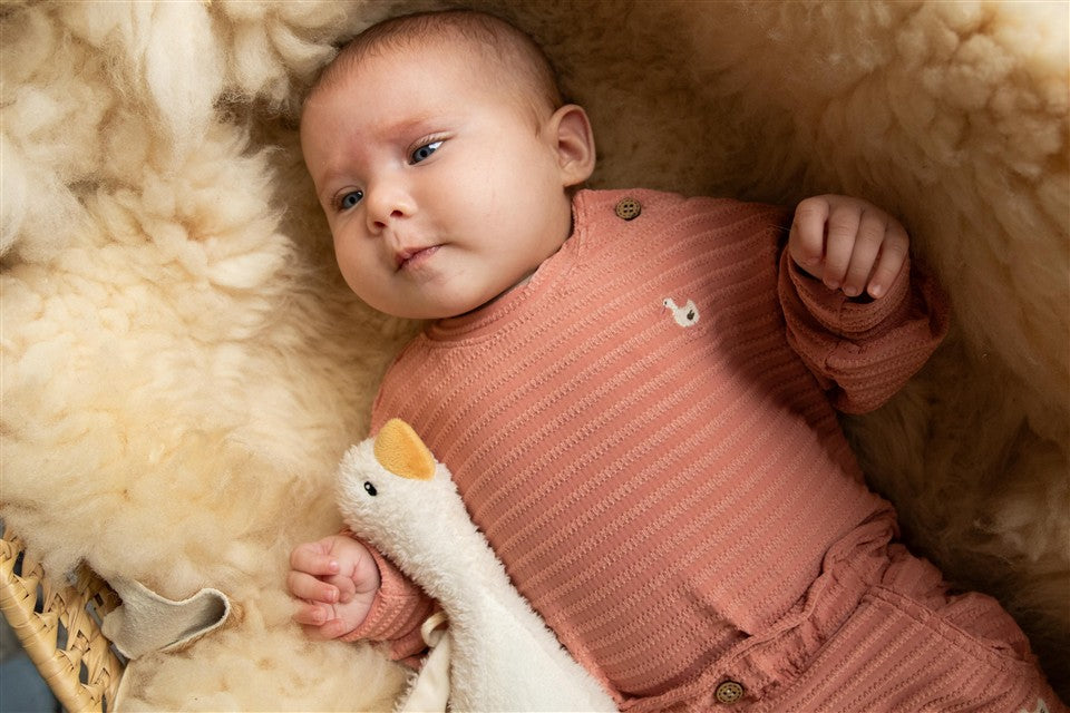 Sweater cable goose