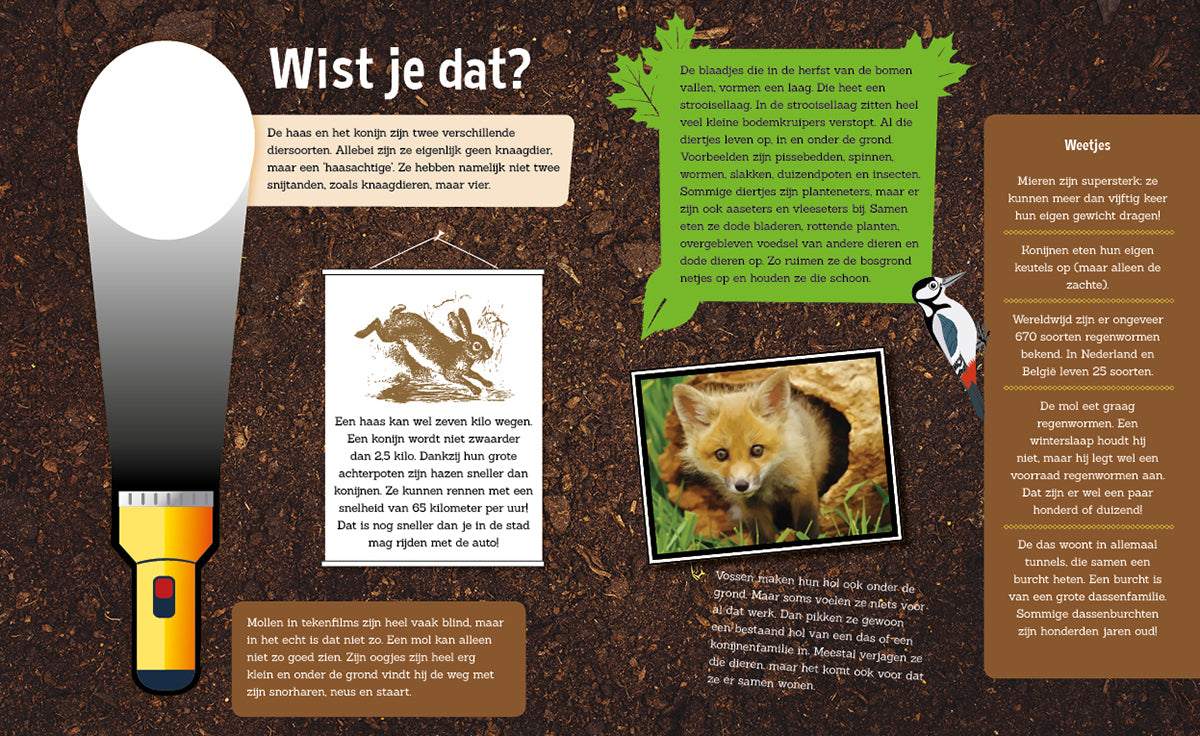 Speuren Onder de grond
