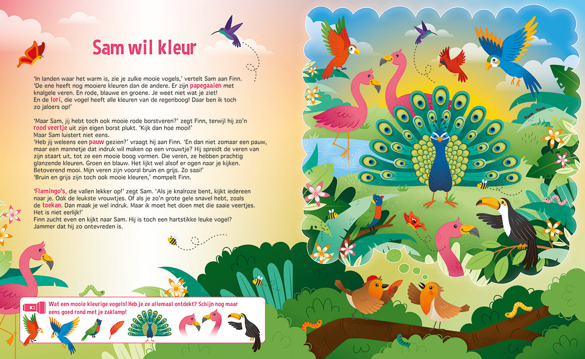 Speuren naar vogels