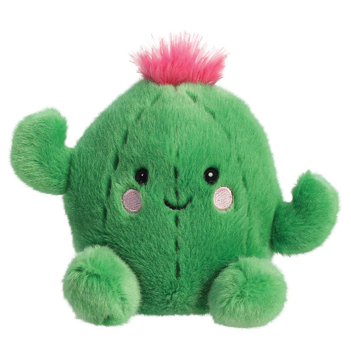Klein pluche cactusje met glimlach