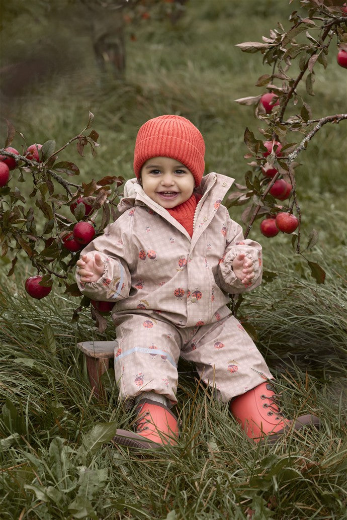 Regenpak lieveheersbeestje