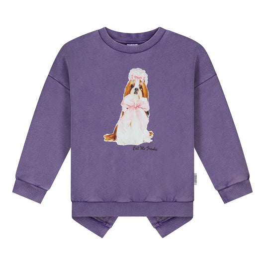 Sweater Fluffy Dog Purple