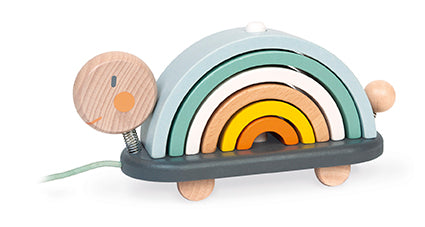 Rainbow Turtle