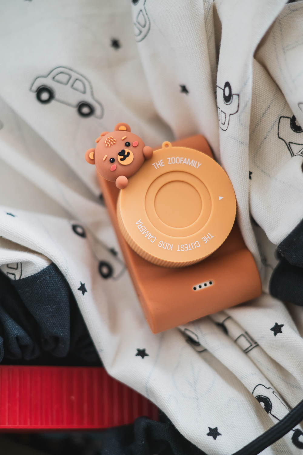 Urban Zoo Camera Bear