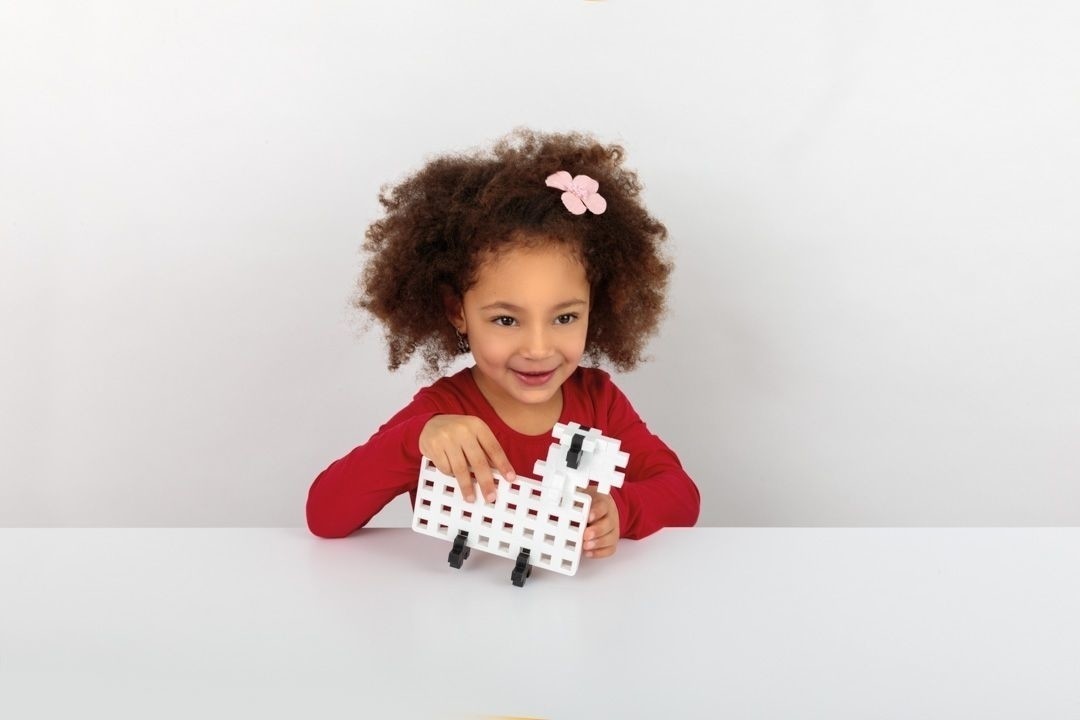 Big learn to build basic 60 pcs