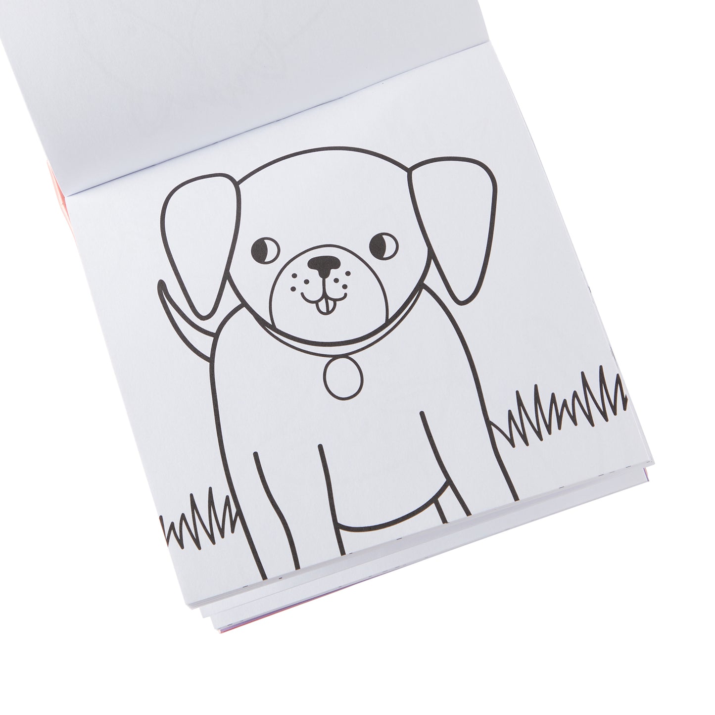 Kleurboek + Krijtjes Pet Pals