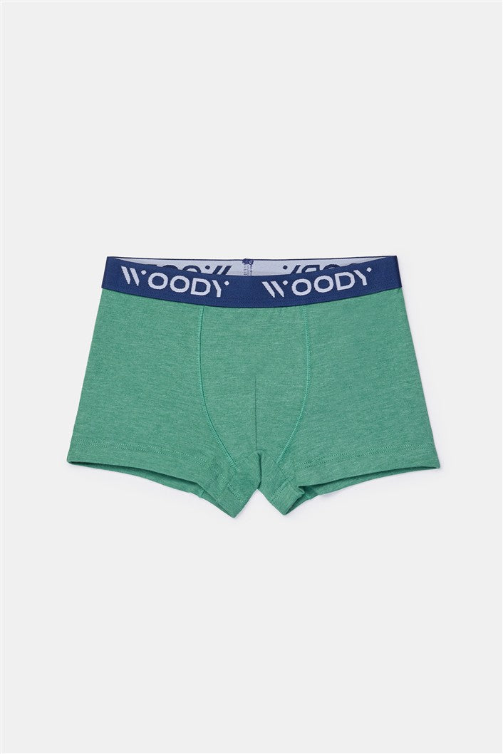 Duopack Jongens Boxer Groen+Streep