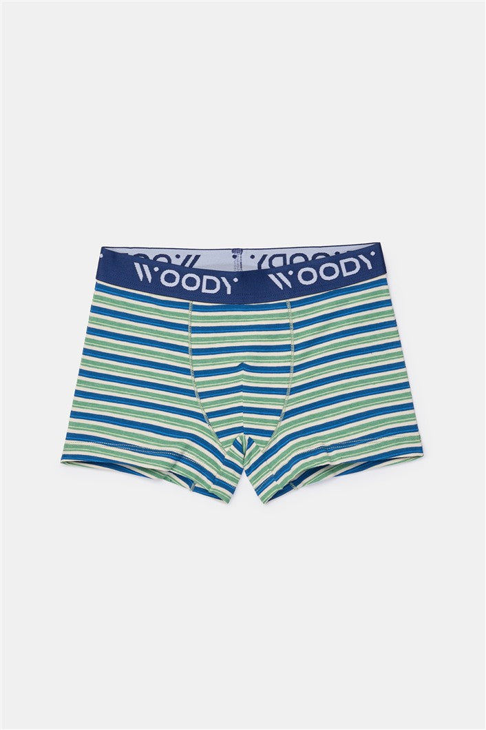 Duopack Jongens Boxer Groen+Streep