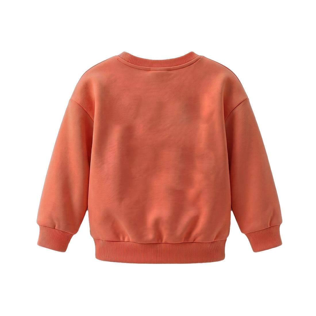 Oversized Sweater Ginger achterkant.