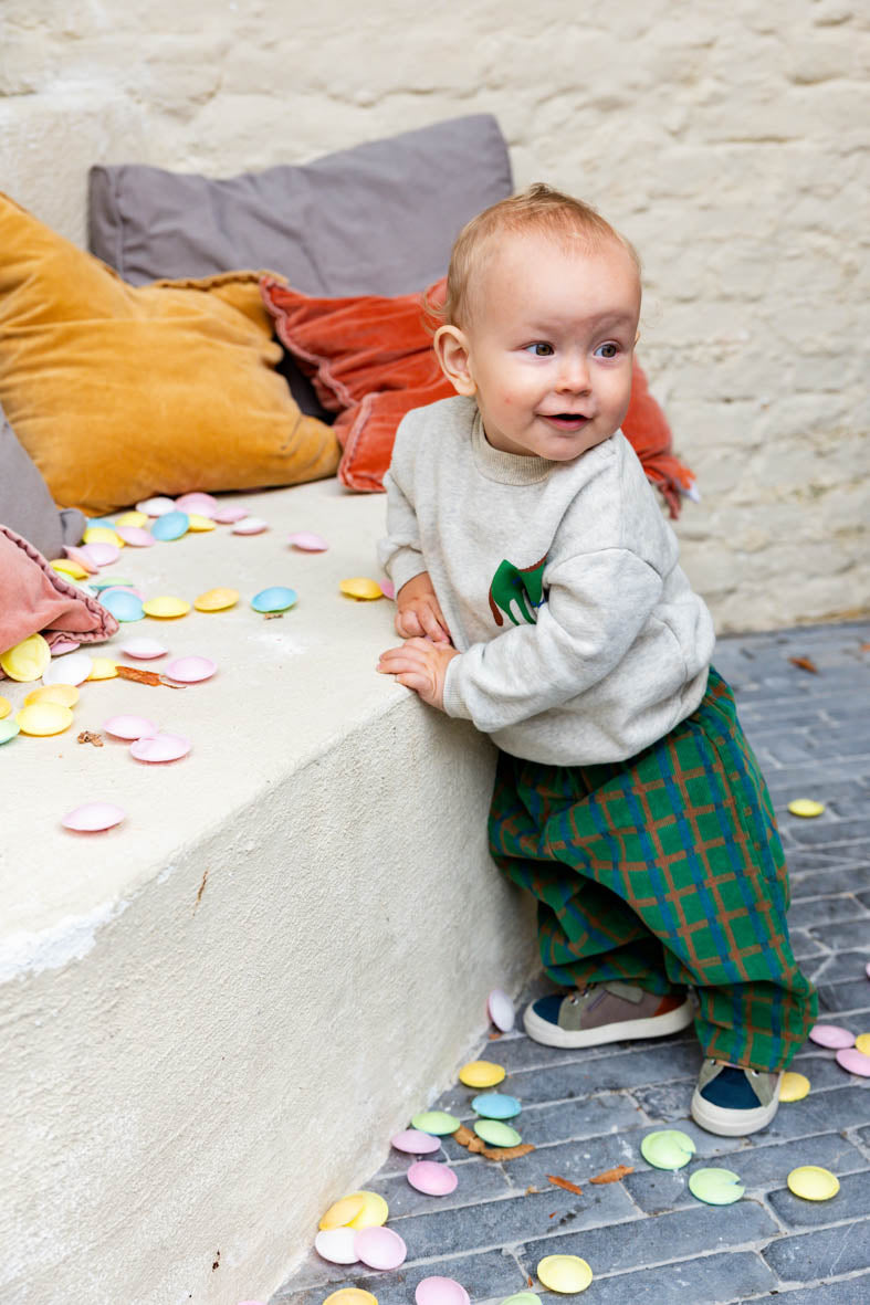 lotie sweater met paard en groen geruite broek voor baby fotoshoot