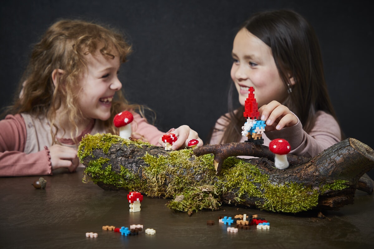speelset kabouter in plusplus