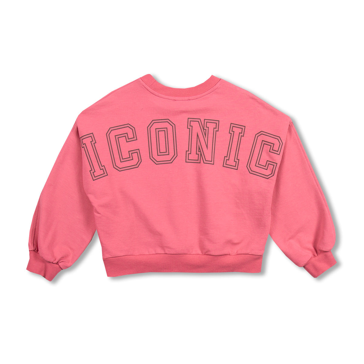 Sweater Luca Iconic Fruit Dove