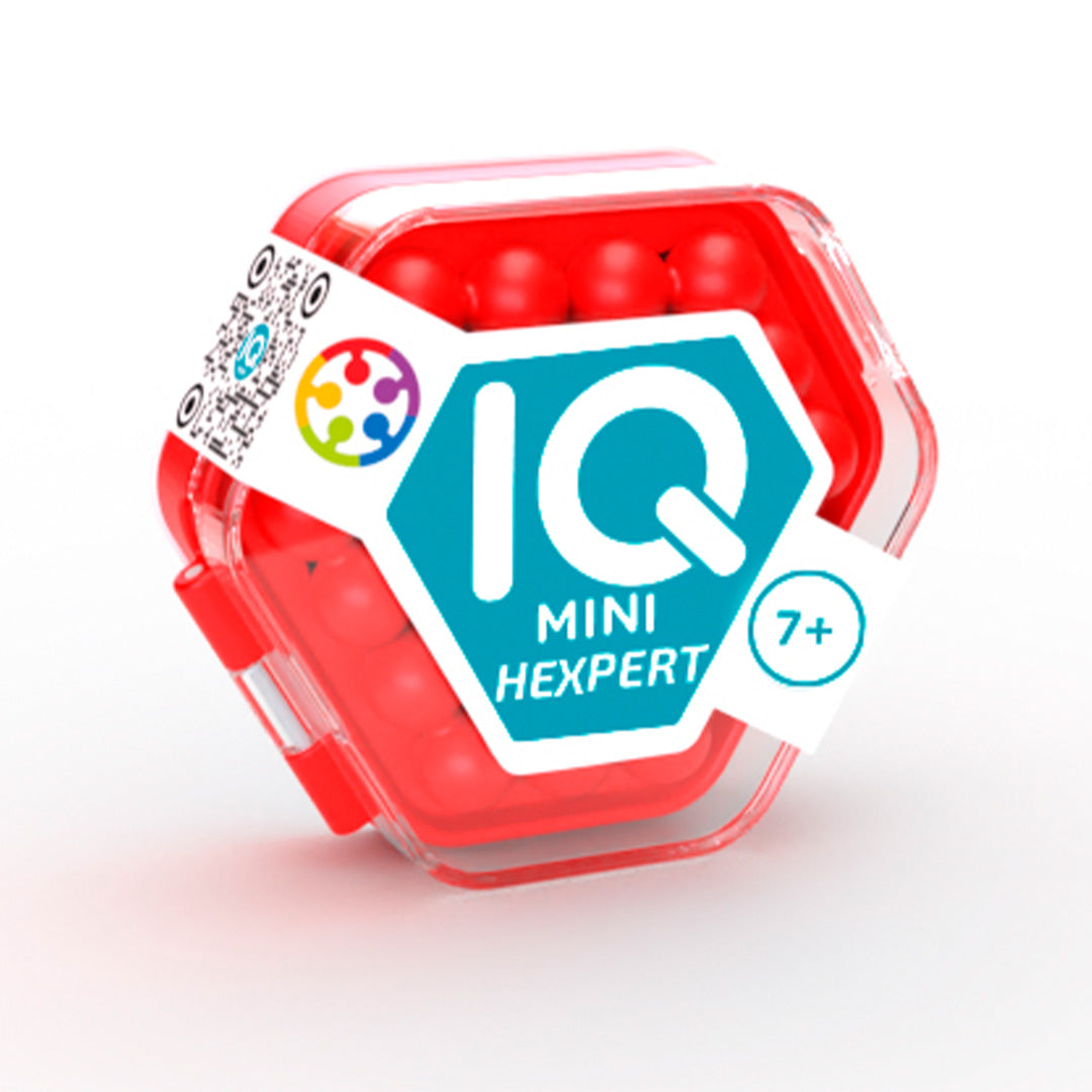 Draagbare IQ-puzzel met kleurrijke puzzelstukken