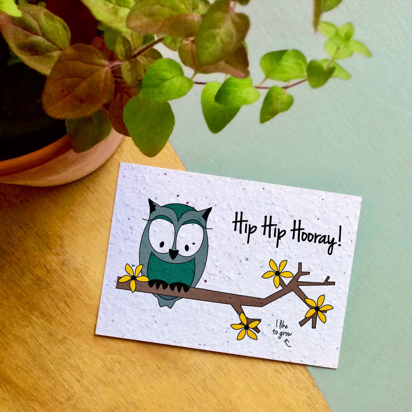 Wenskaart Flowers Owl Hip Hip Hooray
