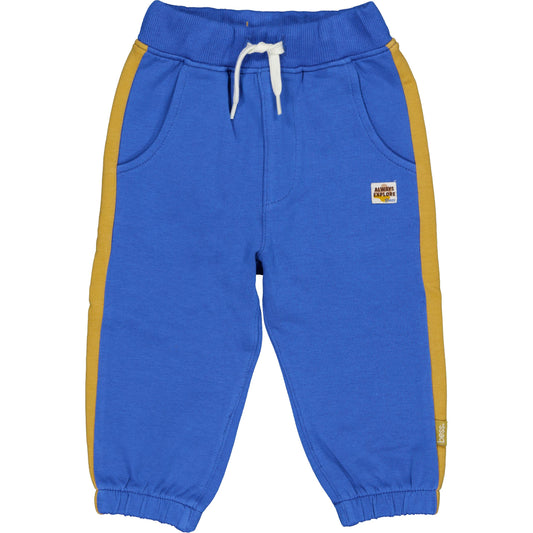 Royal Blue trainingsbroekje voor babyjongens met okergele zijstrepen.