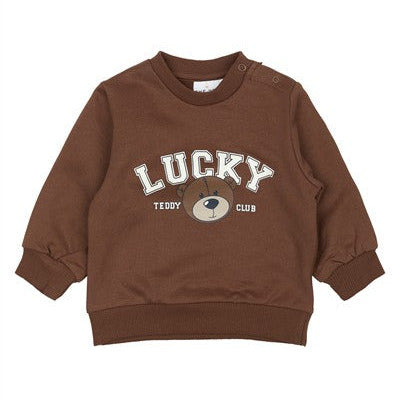 Sweater Perseus Pinecone