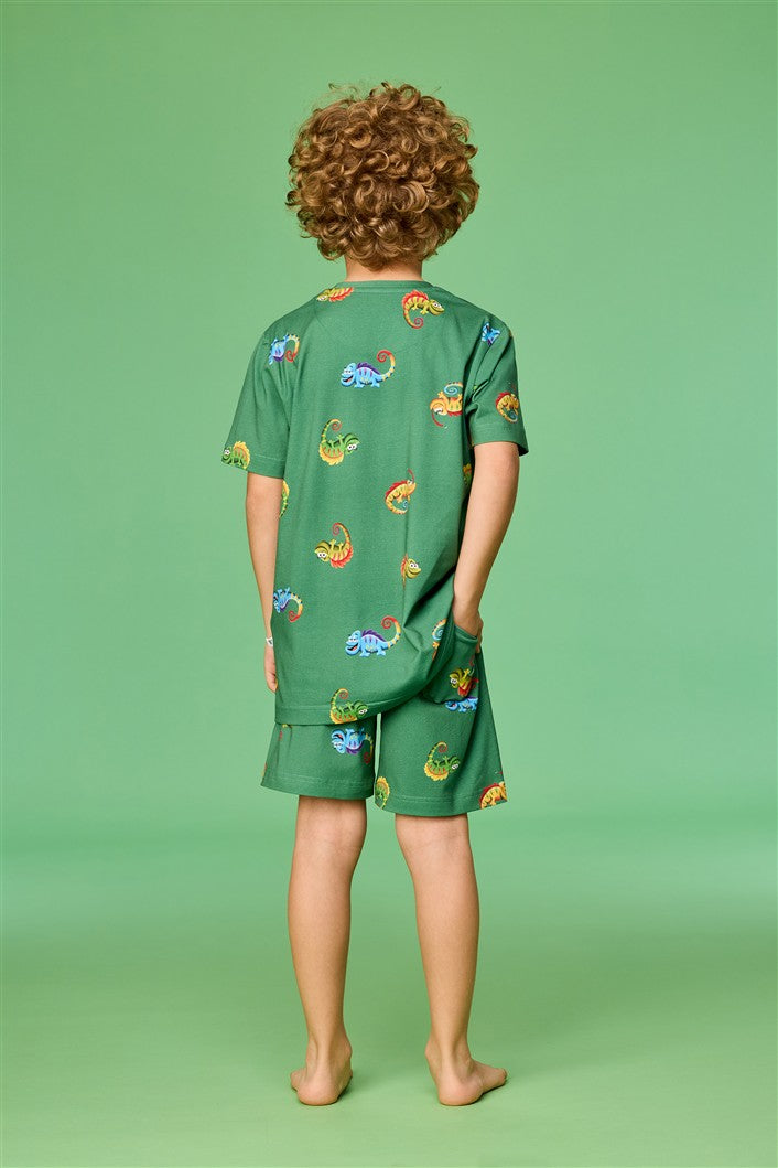 Achterkant groene pyjama met kameleons
