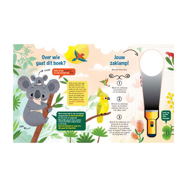 zaklamp speuren naar koala's