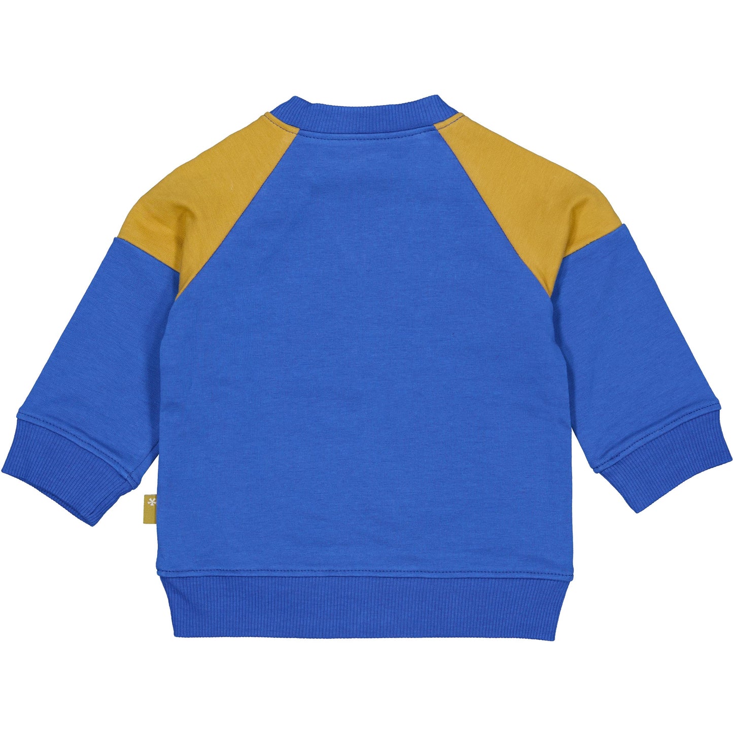 Achterzijde van de Royal Blue babysweater met okergele schouderaccenten.