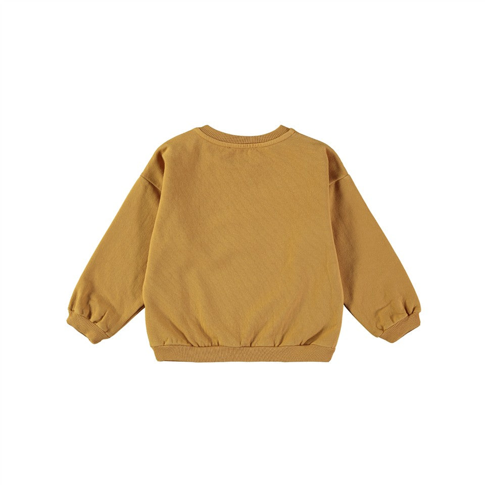 Sweater Curious