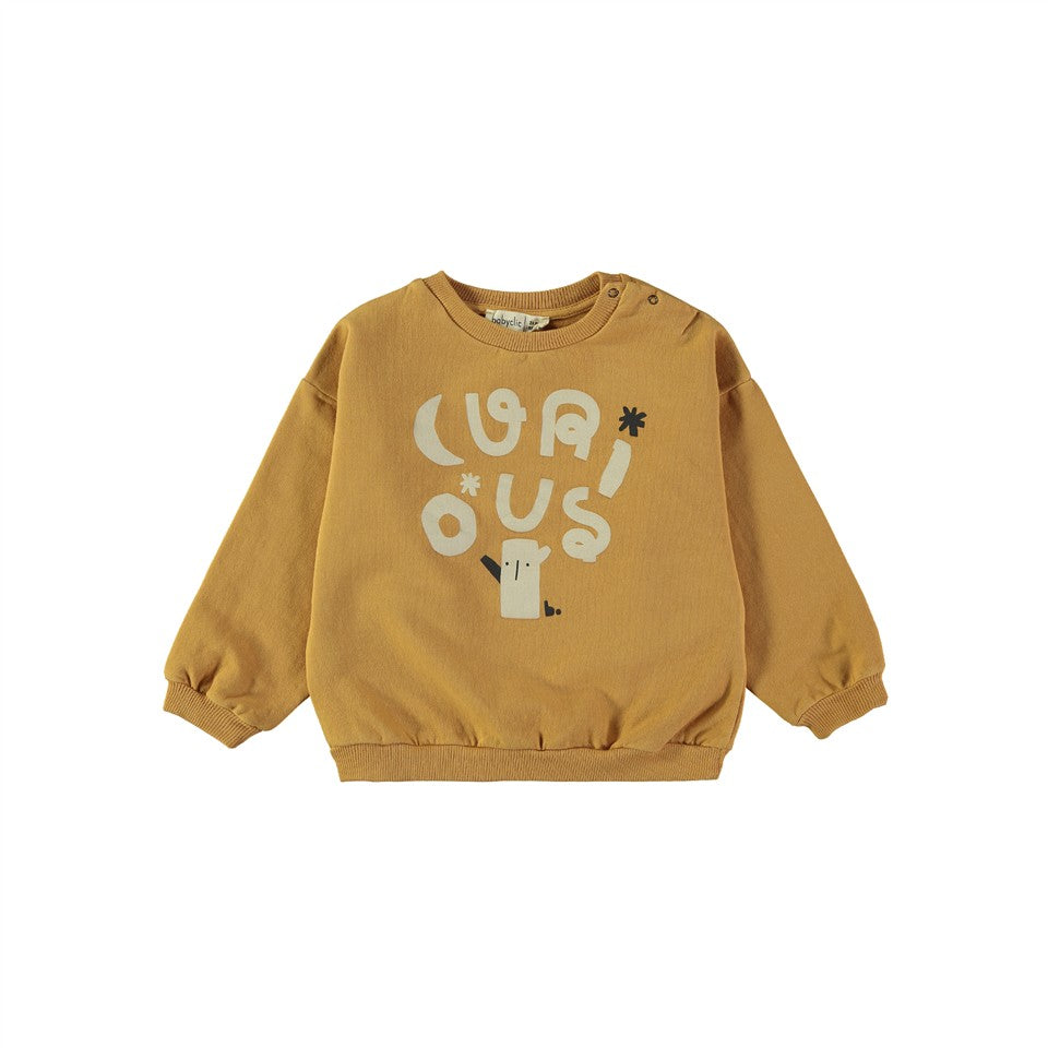 Sweater Curious