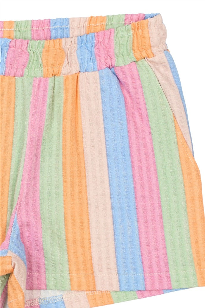 detail short trace van the new