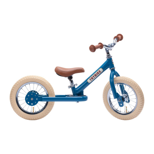 Steel Bike Vintage Blue