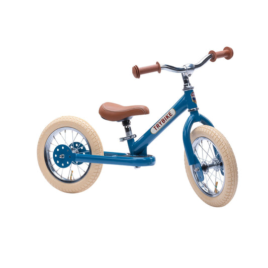 Steel Bike Vintage Blue
