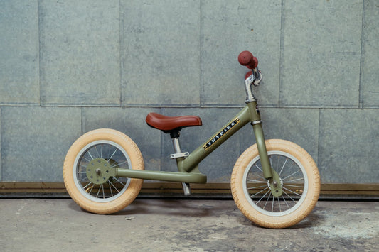 Steel Bike Vintage Green