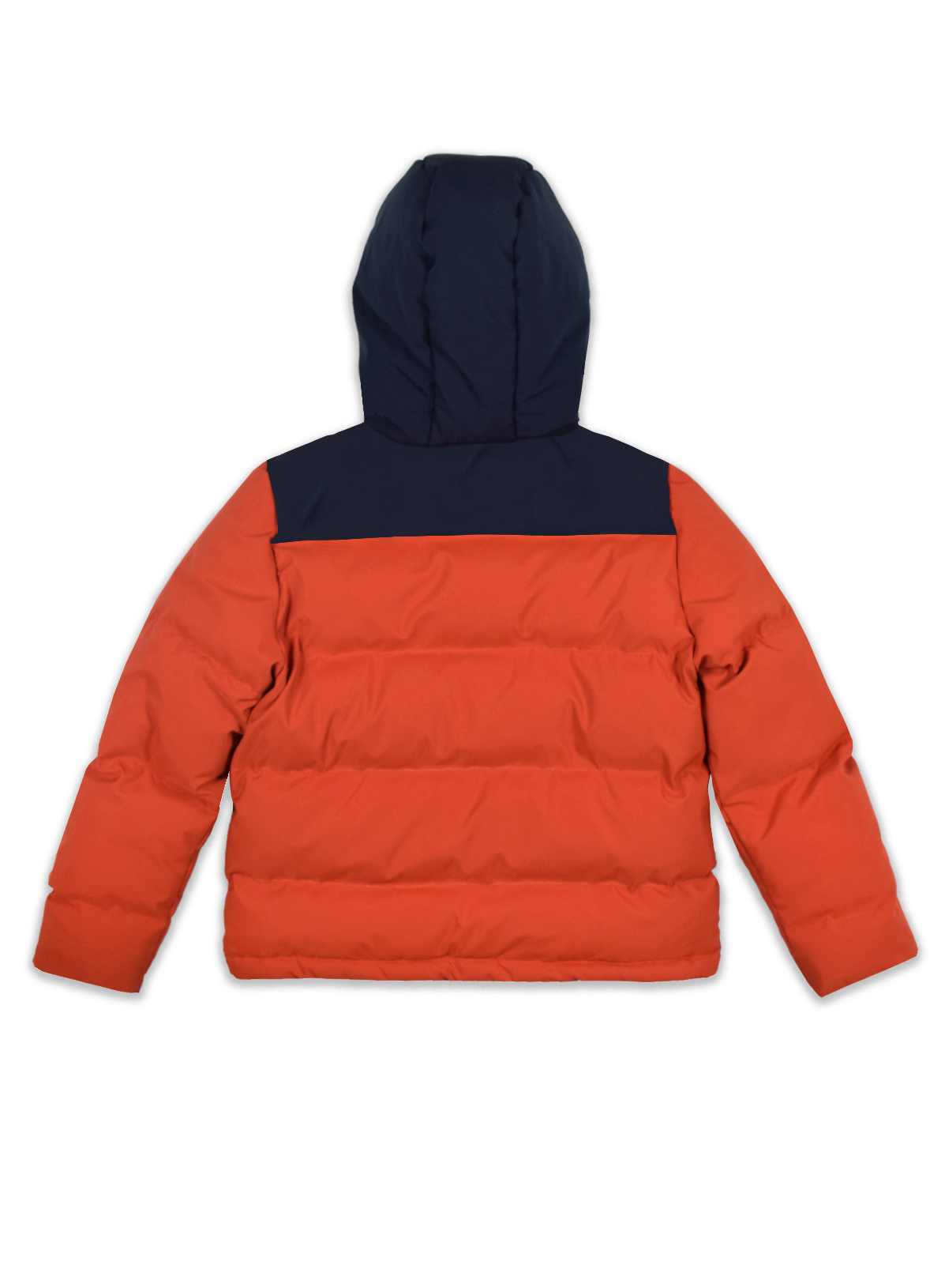 Xavi Jacket Navy Dark Cheddar